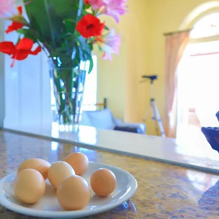 Villa House On The Rocks Katavolos